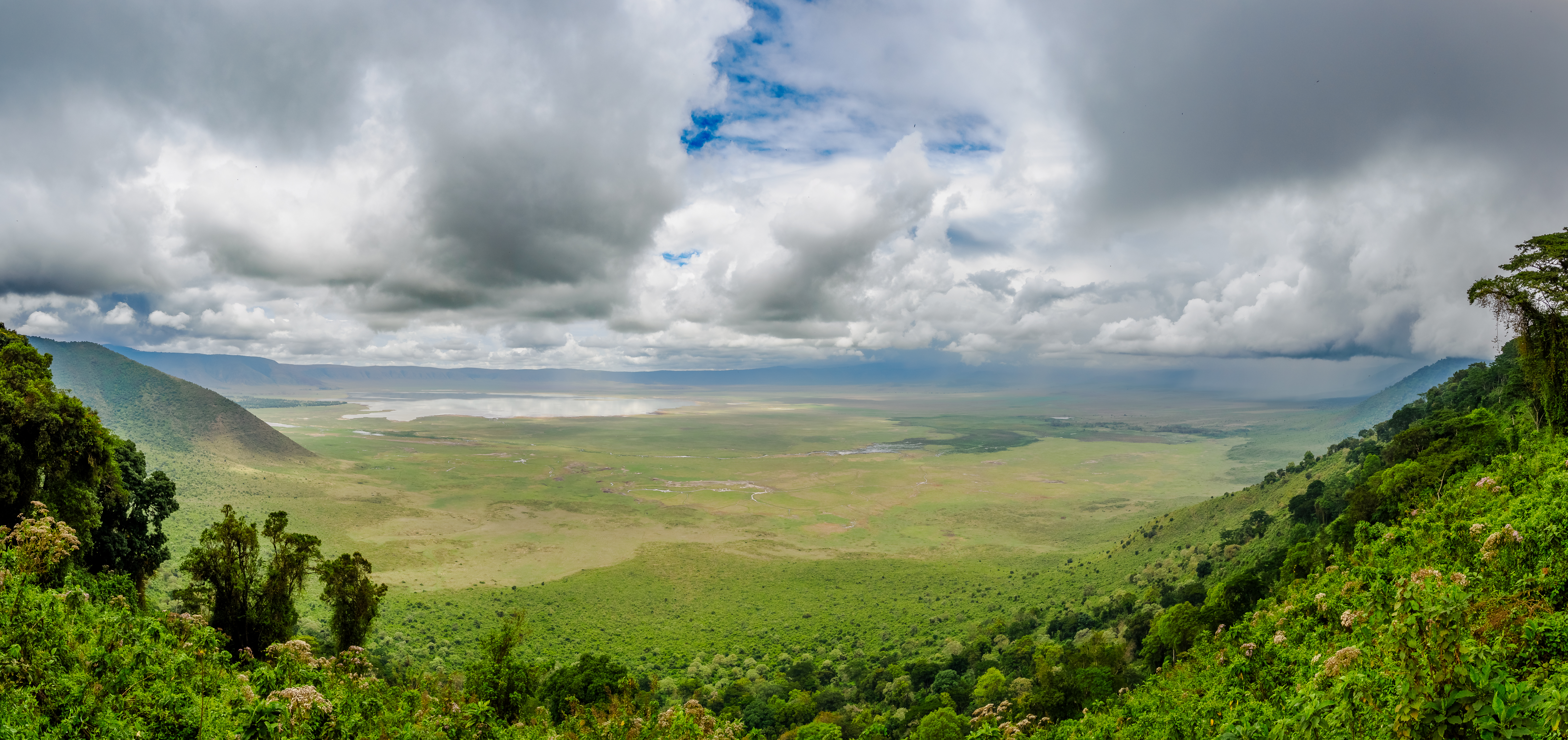 African savanna panorama and wildlife view